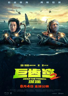 《十三号指令》电影高清完整版