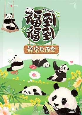 《龙卷风2024》电影高清完整版