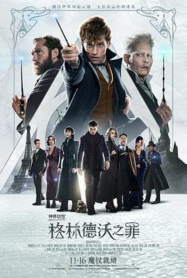 《费德勒：最终的12天》电影高清完整版