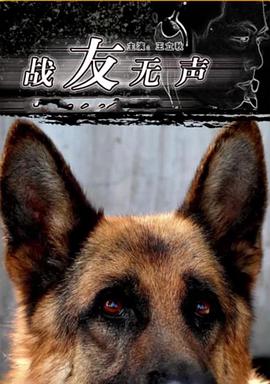 《坚墙》电影高清完整版