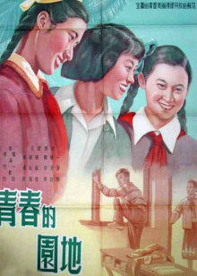 《我的街区第三季》电视剧高清全集