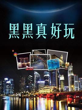 《闪耀的爱情第一季》电视剧高清全集