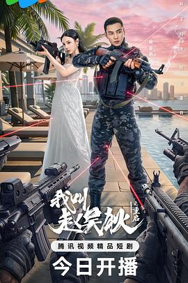 《爱的着陆》电视剧高清全集