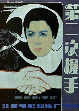 《芝加哥警署第八季》电视剧高清全集