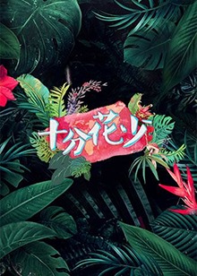 《南侨机工英雄传》电视剧高清全集