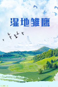 《太空夺旗》动漫高清全集