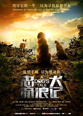 《人生大乱斗》电影高清完整版