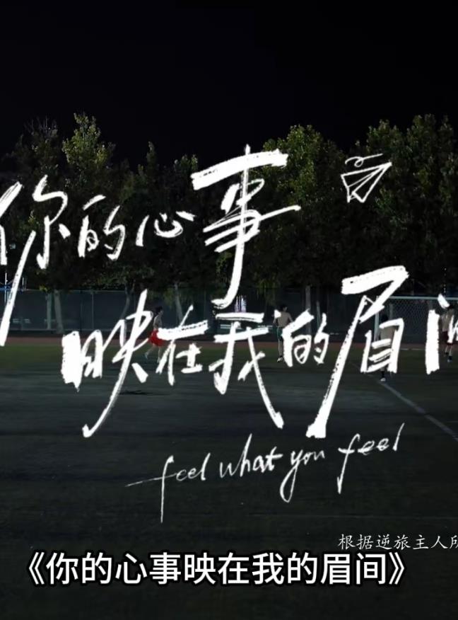《神探狄仁杰3》电视剧高清全集