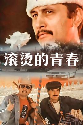 《英国佬》电影高清完整版
