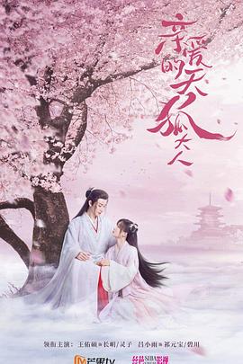 《盗圣一枝梅》电影高清完整版