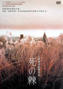 《暴力小姐》电影高清完整版