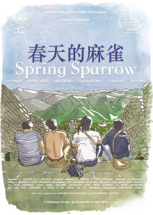 《龙非龙凤非凤》电视剧高清全集