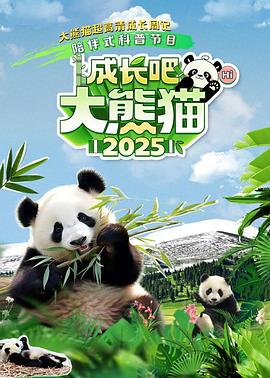 《高兴之后》电影高清完整版