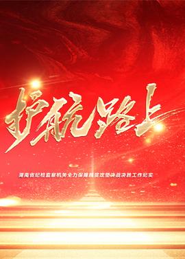 《特别任务》电视剧高清全集