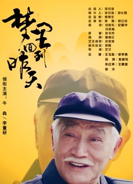 《木鸢迷踪》电影高清完整版