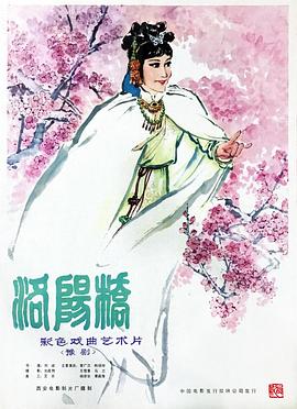 《第19排》电影高清完整版