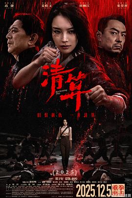 《主妇也要拼》电视剧高清全集