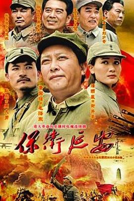 《情感冲击线》电视剧高清全集