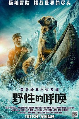 《生疏的海岸》电视剧高清全集