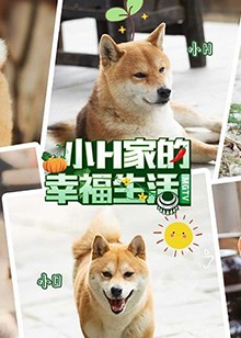 《风云Ⅱ》电影高清完整版