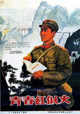 《电台恋波》电影高清完整版