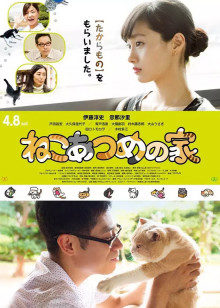 《THE K2》电视剧高清全集