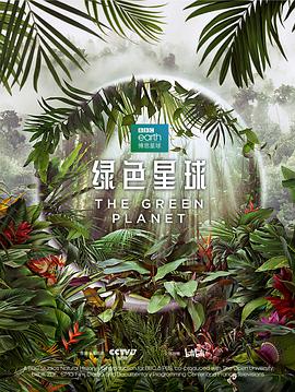 《独家头条》电影高清完整版