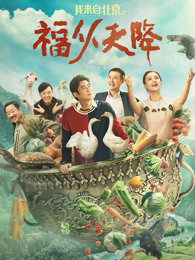 《阿呆闯书院》电影高清完整版