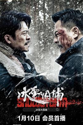 《旅人》电影高清完整版