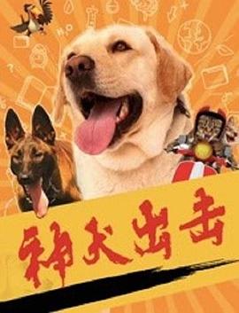 《单凤》电视剧高清全集