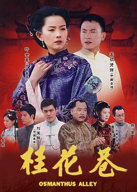 《王者清风》电视剧高清全集
