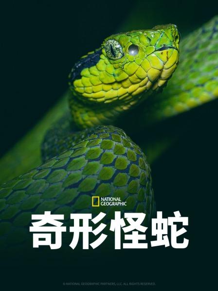 《风险的她第二季》电视剧高清全集