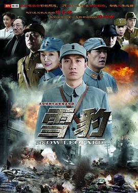《树影迷宫》电视剧高清全集