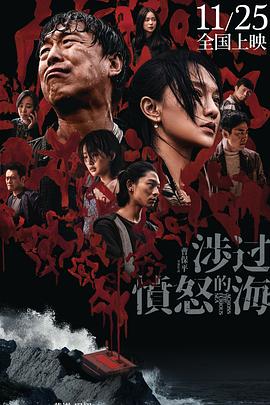 《流氓大亨国语》电视剧高清全集