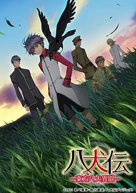 《心脏染色》电视剧高清全集