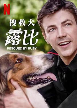 《职场小烈第五季》动漫高清全集