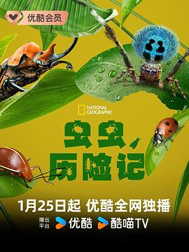 《独奏2025》电视剧高清全集