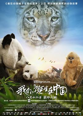 《爱情魔咒》电影高清完整版