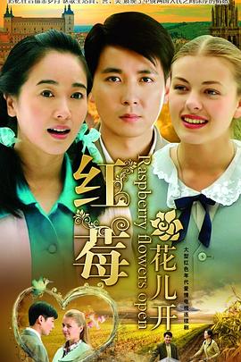 《天天有喜DVD》电视剧高清全集