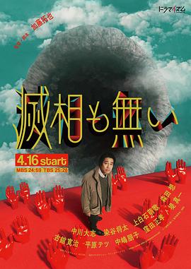 《法与情》电视剧高清全集
