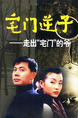 《精灵宝可梦：幻影的霸者索罗亚克》动漫高清全集