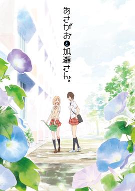 《危机边际第四季》电视剧高清全集