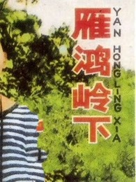 《柠檬老公粤语》电视剧高清全集