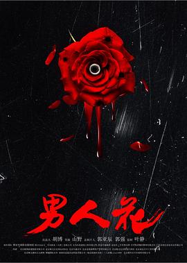 《平摊公寓》电视剧高清全集