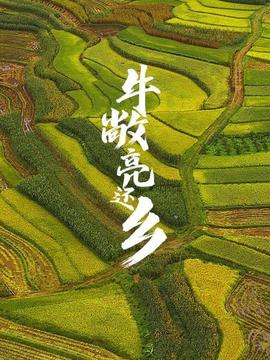 《才不要像你相同谈恋爱》电视剧高清全集