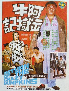 《银狐国语》电视剧高清全集