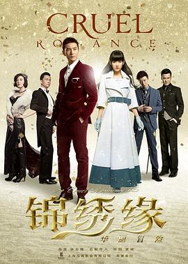 《护花危情粤语》电视剧高清全集