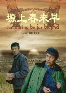 《吞下世界的男孩》电视剧高清全集