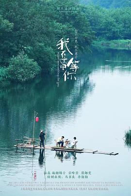 《爱的阶梯》电视剧高清全集