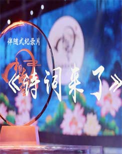 《纵他入局》电视剧高清全集
